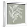 Branch I Sage-Chris Paschke-Framed Photographic Print