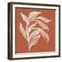 Branch I Terracotta-Chris Paschke-Framed Art Print