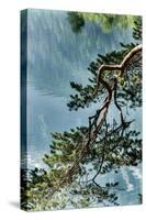 Branch in Lake Eibsee-By-Stretched Canvas