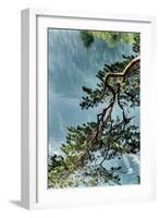 Branch in Lake Eibsee-By-Framed Photographic Print