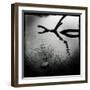 Branch in Water-Craig Roberts-Framed Photographic Print