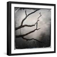 Branch in Water-Craig Roberts-Framed Photographic Print