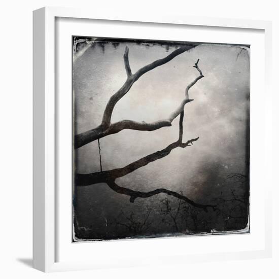 Branch in Water-Craig Roberts-Framed Photographic Print