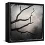Branch in Water-Craig Roberts-Framed Stretched Canvas
