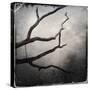 Branch in Water-Craig Roberts-Stretched Canvas