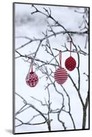 Branch in Winter with Christmas Bulbs, Cord Sample-Andrea Haase-Mounted Photographic Print