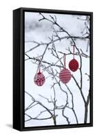 Branch in Winter with Christmas Bulbs, Cord Sample-Andrea Haase-Framed Stretched Canvas