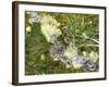 Branch, Lichens, Close-Up-Thonig-Framed Photographic Print