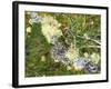 Branch, Lichens, Close-Up-Thonig-Framed Photographic Print