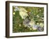 Branch, Lichens, Close-Up-Thonig-Framed Photographic Print
