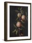 Branch of a Pear Tree-Barbara Regina Dietzsch-Framed Giclee Print