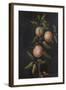 Branch of a Pear Tree-Barbara Regina Dietzsch-Framed Giclee Print