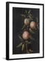 Branch of a Pear Tree-Barbara Regina Dietzsch-Framed Giclee Print