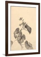 Branch of Begonia in Bloom, (ink on paper)-European School-Framed Giclee Print