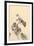 Branch of Begonia in Bloom, (ink on paper)-European School-Framed Giclee Print