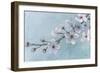 Branch of Blossoms-Wellington Studio-Framed Art Print