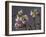 Branch of Cherry Blossoms in Front of Grey Background-C. Nidhoff-Lang-Framed Photographic Print