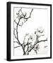 Branch of Magnolia-Henry Wilson-Framed Art Print