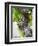 Branch of Old Vine with Gnarled Bark, Collioure, Languedoc-Roussillon, France-Per Karlsson-Framed Photographic Print