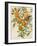 Branch of Oranges I-Jacob Q-Framed Art Print