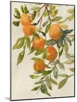 Branch of Oranges I-Jacob Q-Mounted Art Print