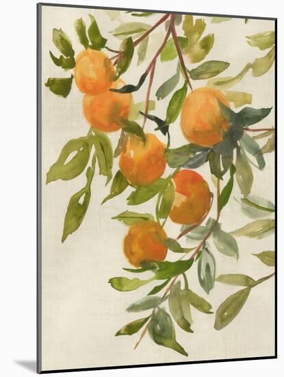 Branch of Oranges I-Jacob Q-Mounted Art Print