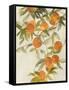 Branch of Oranges II-Jacob Q-Framed Stretched Canvas