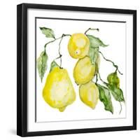 Branch of Ripe Sour Lemons-vilax-Framed Premium Giclee Print