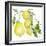 Branch of Ripe Sour Lemons-vilax-Framed Premium Giclee Print