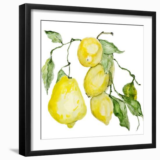 Branch of Ripe Sour Lemons-vilax-Framed Premium Giclee Print