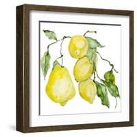 Branch of Ripe Sour Lemons-vilax-Framed Art Print