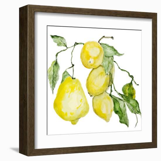 Branch of Ripe Sour Lemons-vilax-Framed Art Print