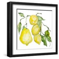 Branch of Ripe Sour Lemons-vilax-Framed Art Print