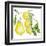 Branch of Ripe Sour Lemons-vilax-Framed Art Print