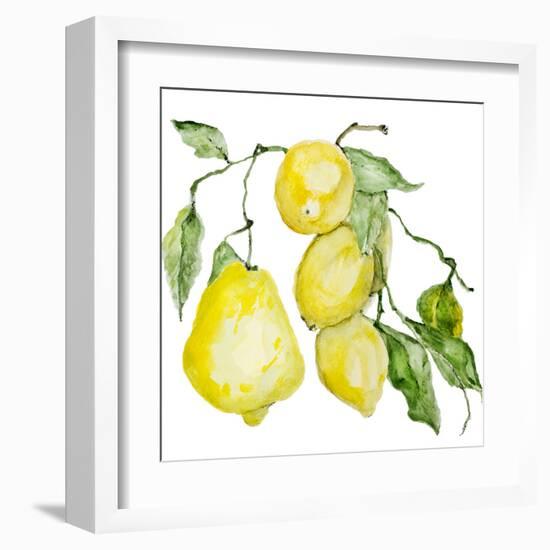 Branch of Ripe Sour Lemons-vilax-Framed Art Print