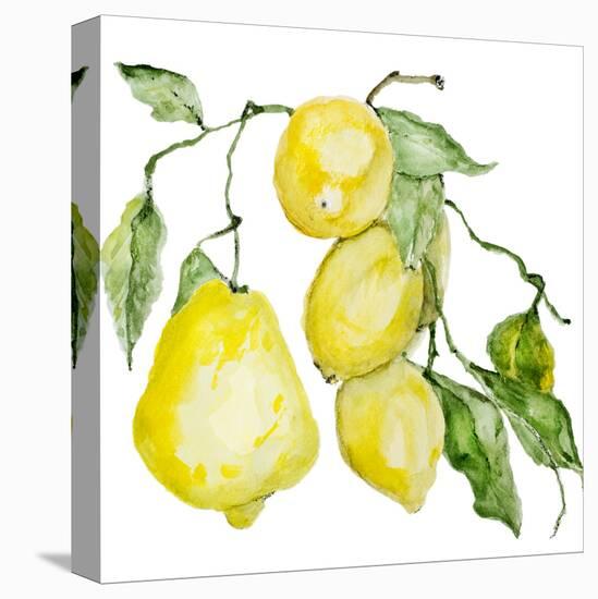 Branch of Ripe Sour Lemons-vilax-Stretched Canvas
