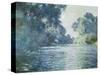 Branch of the Seine Near Giverny, 1897-Claude Monet-Stretched Canvas