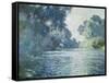 Branch of the Seine Near Giverny, 1897-Claude Monet-Framed Stretched Canvas