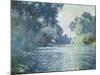 Branch of the Seine Near Giverny, 1897-Claude Monet-Mounted Premium Giclee Print