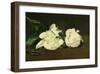 Branch of White Peonies and Secateurs, 1864-Edouard Manet-Framed Giclee Print