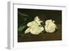 Branch of White Peonies and Secateurs, 1864-Edouard Manet-Framed Giclee Print