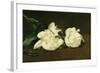 Branch of White Peonies and Secateurs, 1864-Edouard Manet-Framed Giclee Print