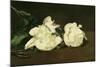 Branch of White Peonies and Secateurs, 1864-Edouard Manet-Mounted Giclee Print