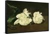 Branch of White Peonies and Secateurs, 1864-Edouard Manet-Framed Stretched Canvas