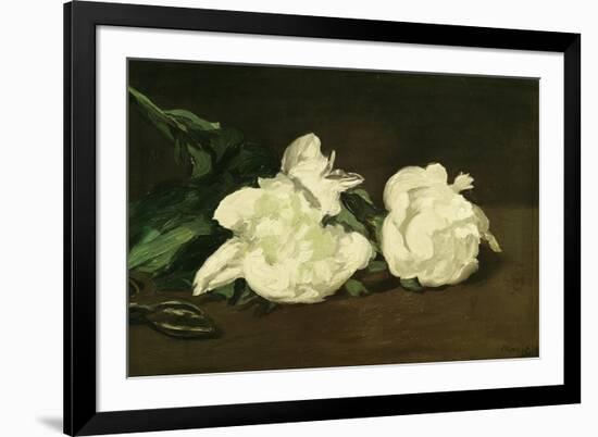 Branch of White Peonies and Secateurs, 1864-Edouard Manet-Framed Giclee Print