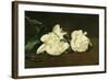 Branch of White Peonies and Secateurs, 1864-Edouard Manet-Framed Giclee Print