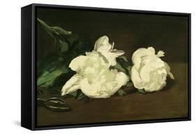 Branch of White Peonies and Secateurs, 1864-Edouard Manet-Framed Stretched Canvas