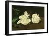 Branch of White Peonies and Secateurs, 1864-Edouard Manet-Framed Giclee Print