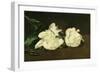 Branch of White Peonies and Secateurs, 1864-Edouard Manet-Framed Giclee Print