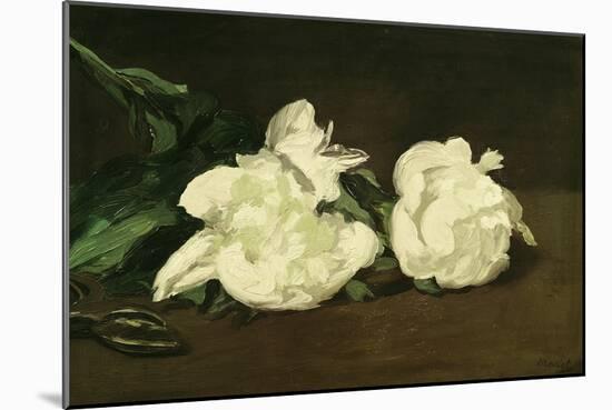Branch of White Peonies and Secateurs, 1864-Edouard Manet-Mounted Giclee Print
